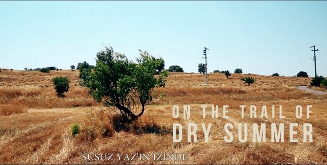 Susuz Yaz’ın izinden gelen ödül