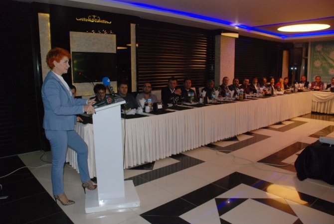 TMG Dıs Ticaret Madencilik Yönetim Kurulu Başkanı Mansfield: