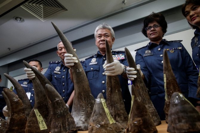 ’Sanat objesi’ dediler gergedan boynuzu çıktı
