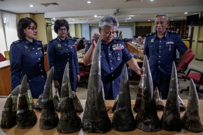 ’Sanat objesi’ dediler gergedan boynuzu çıktı