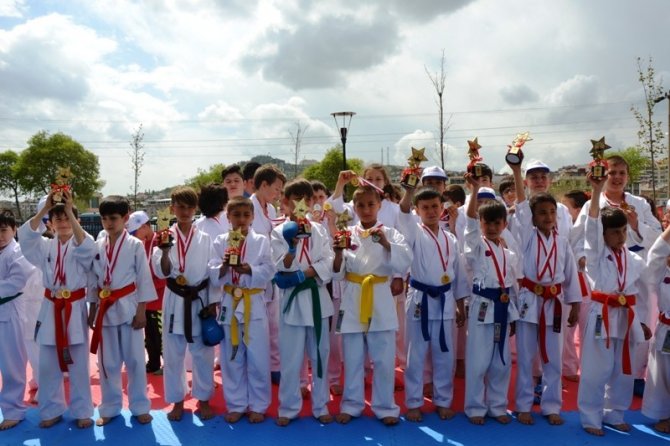 2. Biga Çocuk Olimpiyatlarında karateciler yoğun ilgi gördü