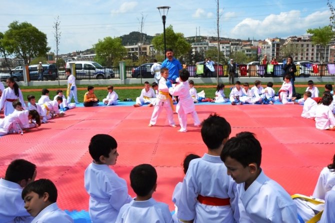 2. Biga Çocuk Olimpiyatlarında karateciler yoğun ilgi gördü