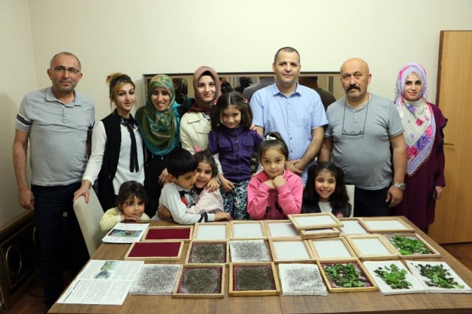 Evlerinde ipek böceği yetiştirerek 6 bin lira kazanacaklar