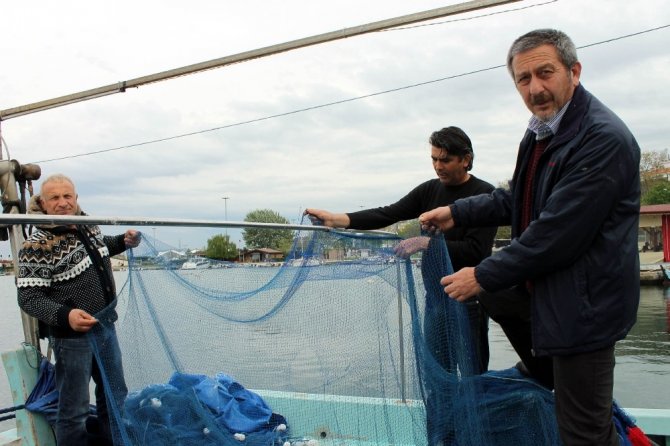 Türk denizlerinde yunus tehdidi artıyor