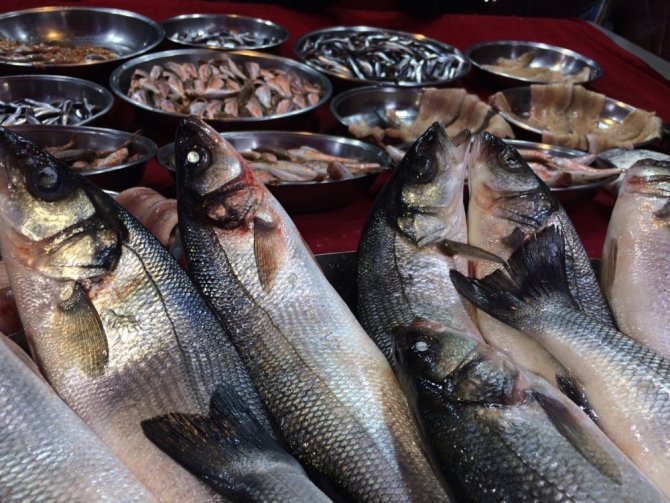 Deniz balıklarındaki yüksek fiyatlar kültür balıklarını da etkiledi