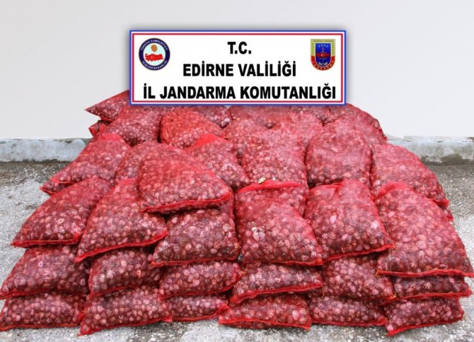 Edirne’de 2 ton canlı midye ele geçirildi
