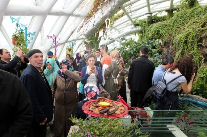 Tropikal Kelebek Bahçesine ziyaretçi akını