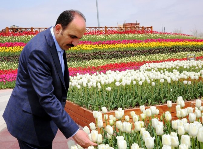 Tropikal Kelebek Bahçesine ziyaretçi akını