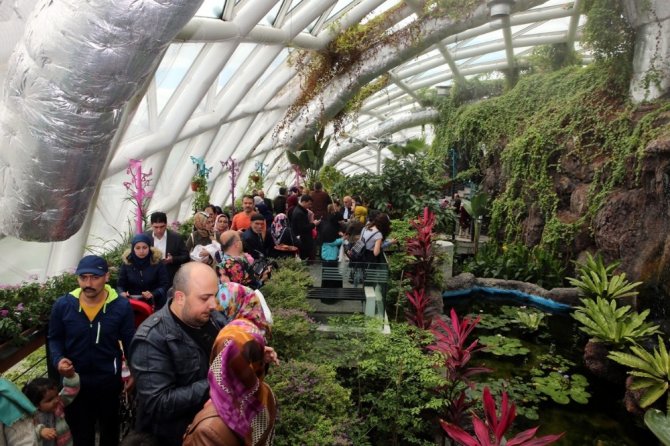 Tropikal Kelebek Bahçesine ziyaretçi akını