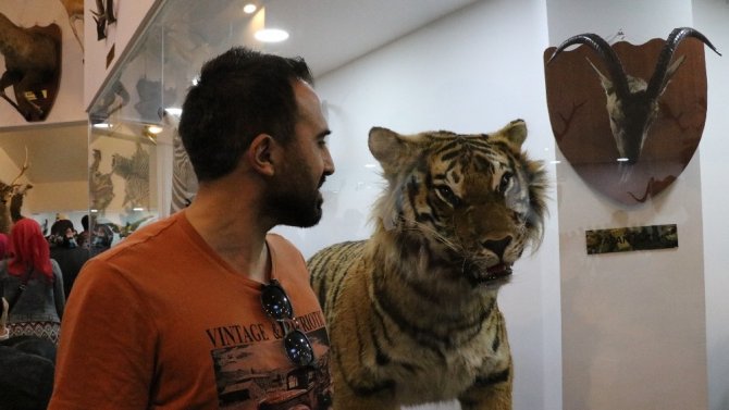 Türkiye’nin ilk ve tek Zooloji ve Doğa Müzesi Gaziantep’te açıldı