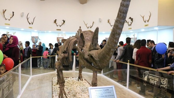 Türkiye’nin ilk ve tek Zooloji ve Doğa Müzesi Gaziantep’te açıldı