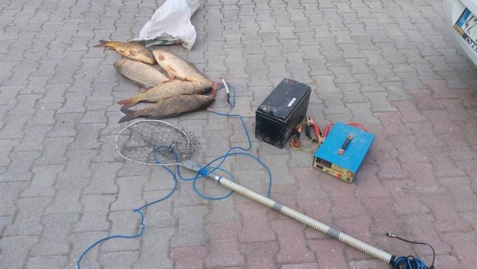 Beyşehir’de elektro şok ile avlanan balıklar ele geçirildi