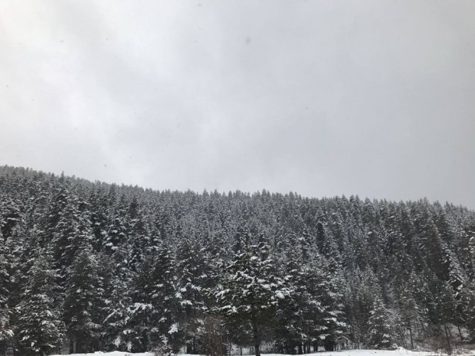 Ilgaz’da kayak merkezinde Nisan karı 10 santimi buldu
