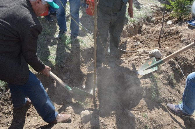 Iğdır Üniveristesi Suveren kampüsü ağaçlandırılıyor