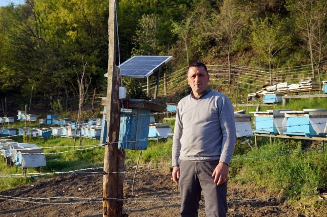 Arı kovanlarını ayılardan korumak için nöbet tutuyorlar