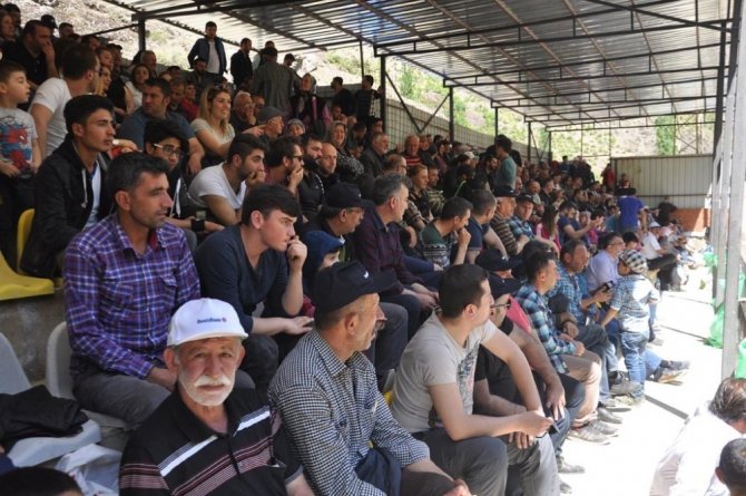 Artvin’de Geleneksel Boğa Güreşleri devam ediyor