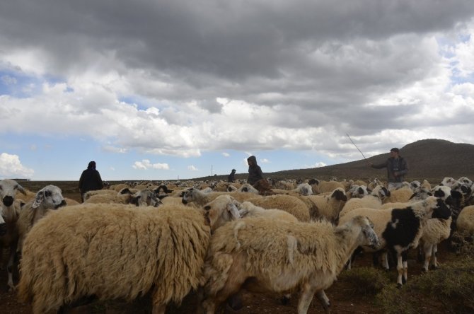 Göçebe çoban, zorlu yaşam koşulları nedeniyle hiç şehir görmedi