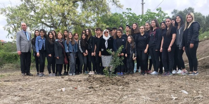 Türkiye, kilosu bin 500 liraya kadar çıkan sakız üretiminde iddialı