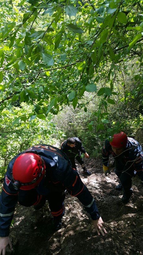 Ormanda kaybolan 4 genci AFAD kurtardı