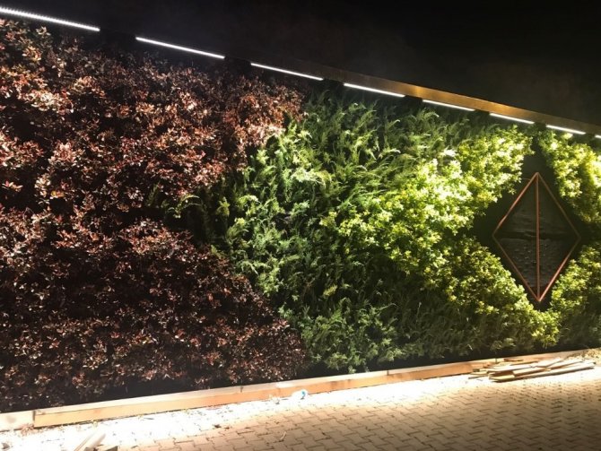 Mardin’deki ‘Dikey Bahçe’ ışıklandırıldı