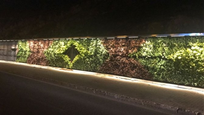 Mardin’deki ‘Dikey Bahçe’ ışıklandırıldı