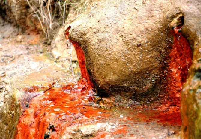 Dağlardan gelen şifa kaynağı İspendere İçmeleri