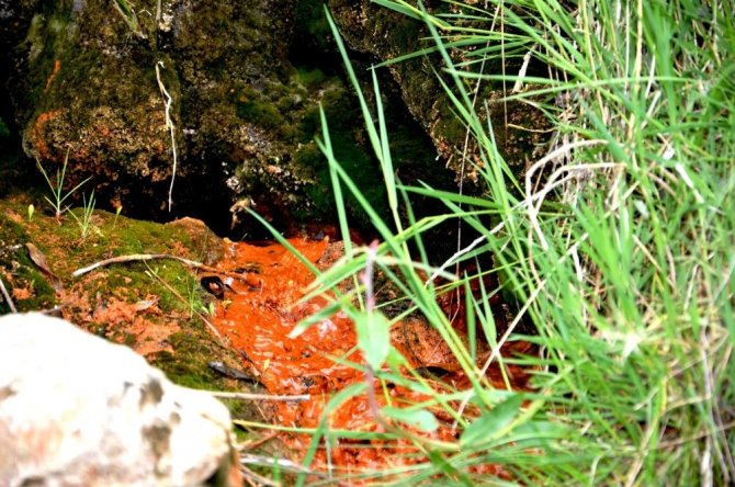 Dağlardan gelen şifa kaynağı İspendere İçmeleri