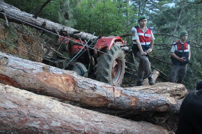 Üzerine ağaç devrilen işçi hayatını kaybetti