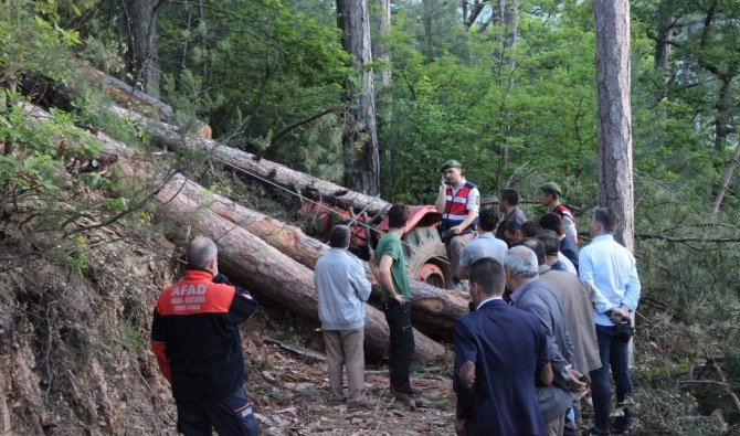 Üzerine ağaç devrilen işçi hayatını kaybetti