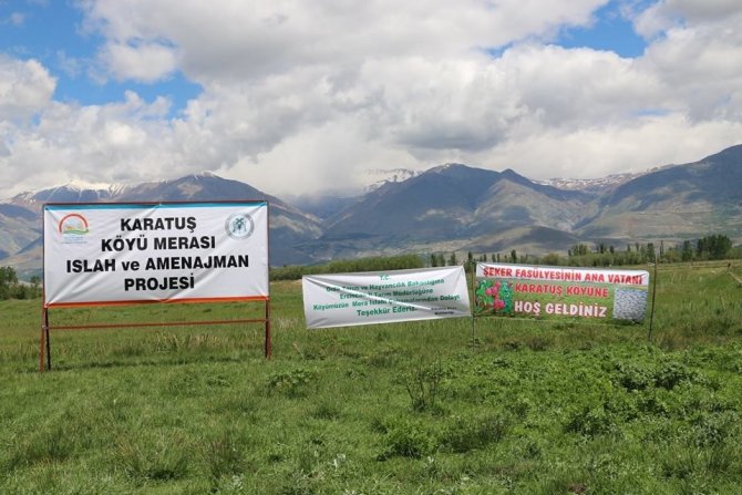 Karatuş Köyü merası otlatmaya açıldı