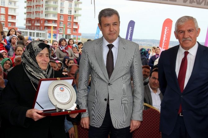 Hacı Ömer Ayten Tepecik İlkokulu ve İmam Hatip Ortaokulu