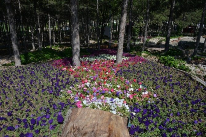 Gediz Belediyesinden annelere özel çiçek bahçesi