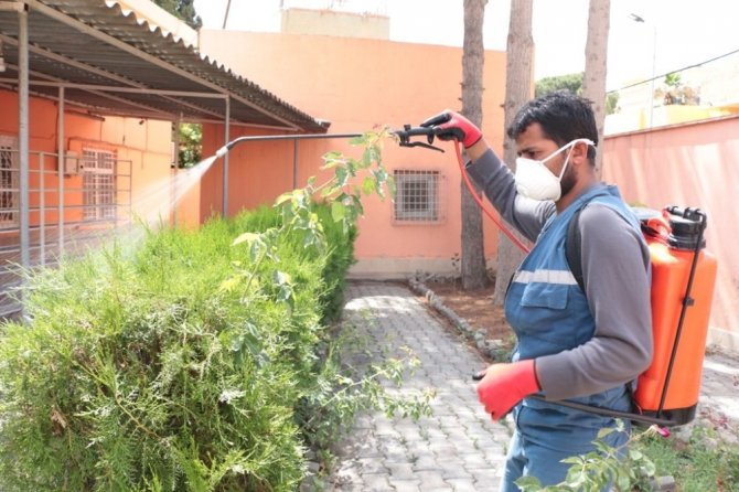 Suriye sınırındaki camilerde ilaçlama çalışması