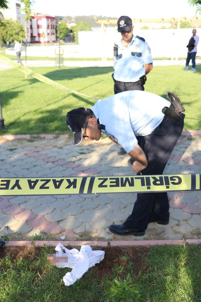 Parkta oynayan çocuklar bebek cesedi buldu