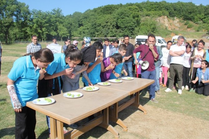 Zeytinburnu Belediyesi Bilgi Evleri’nde geleneksel piknik coşkusu