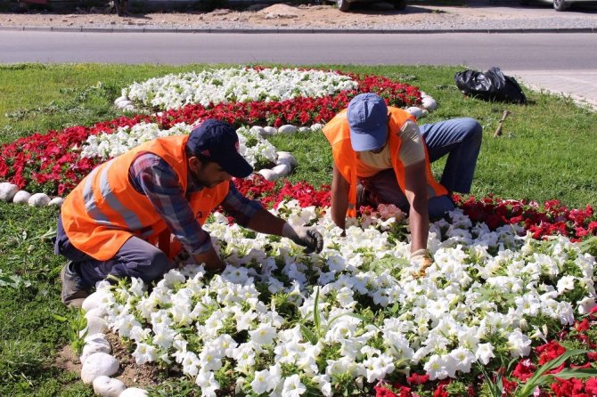 Manavgat’ta 186 bin mevsimlik çiçek