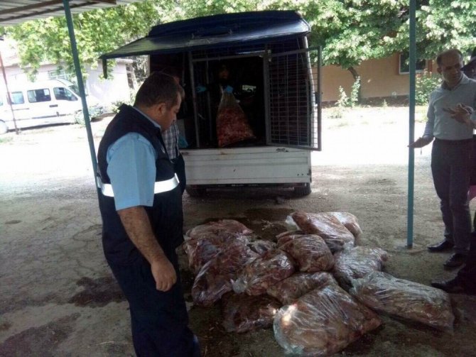 Kilis’te piyasaya kaçak olarak sürülmeye hazırlanan 1 ton tavuk eti ele geçirildi
