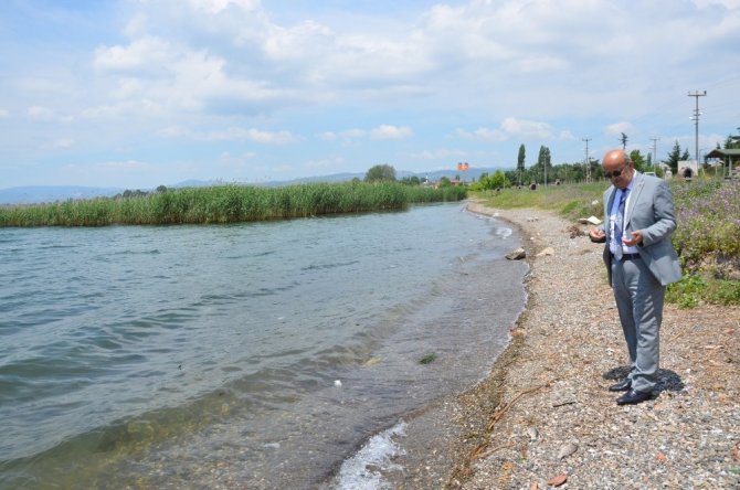 İznik Belediye Başkanı Sargın: "İznik Gölü’ndeki balık ölümleri kirlilikten değil, konulan tuzaklardan kaynaklı"