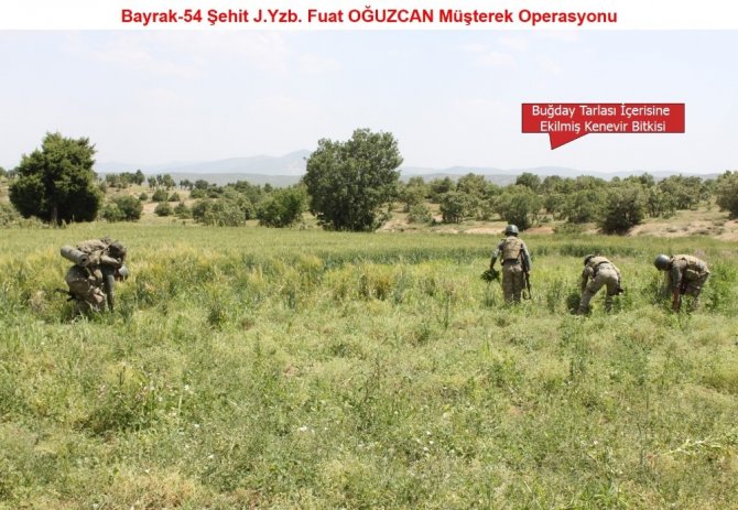 Diyarbakır’da 10 bin personelle operasyon
