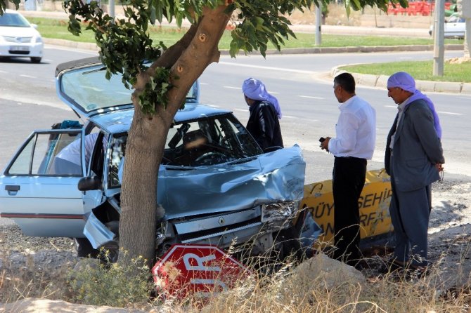 Otomobil ağaca çarptı: 4 yaralı