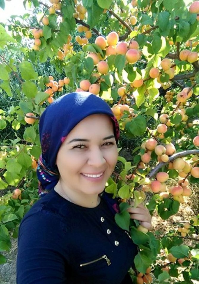 Mut’ta kayısı üreticisi altın yılını yaşıyor