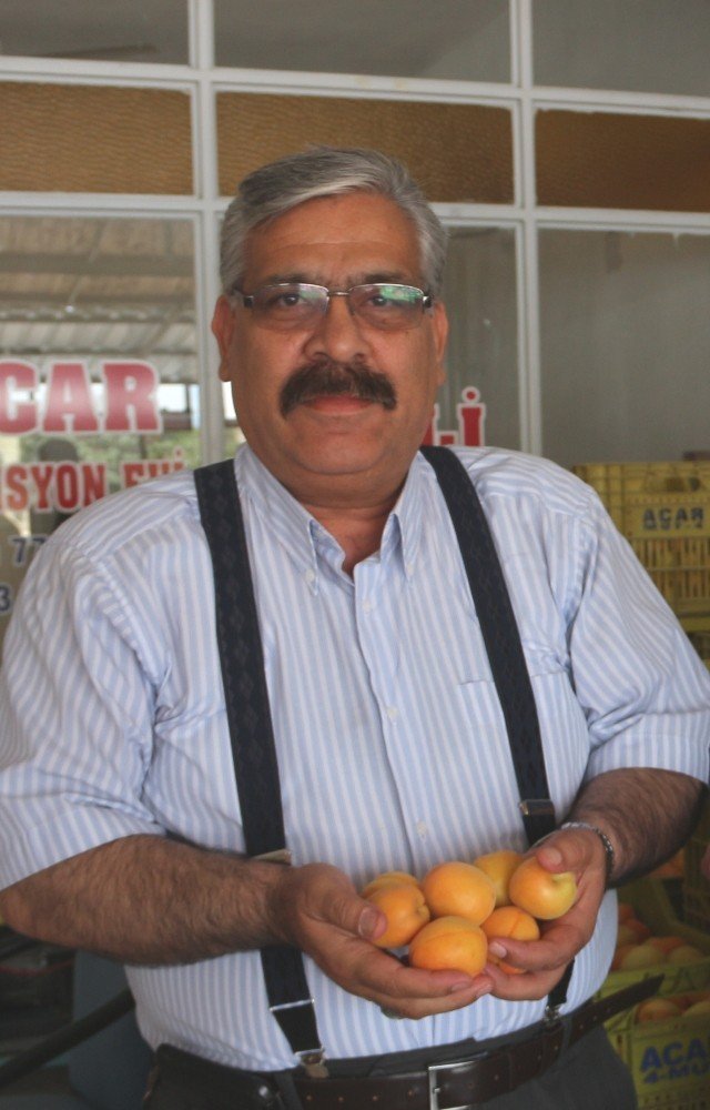 Mut’ta kayısı üreticisi altın yılını yaşıyor