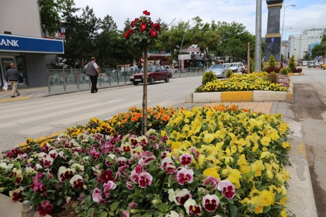 Çankırı çiçek açtı