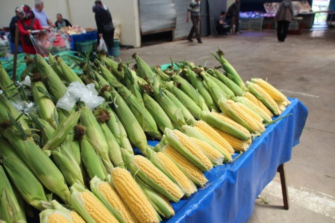 Süt Mısır tezgahlarda fiyatı ile el yakıyor
