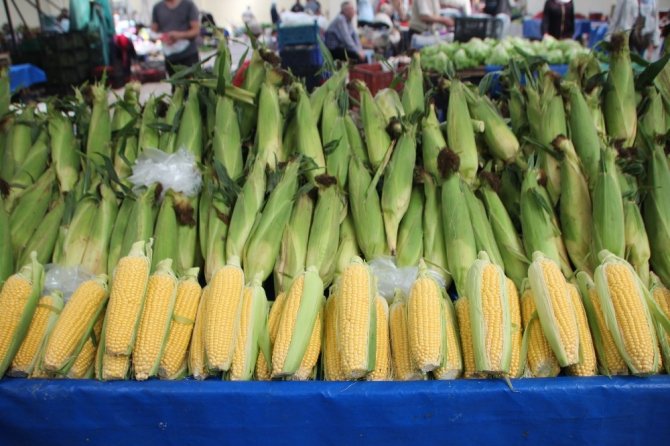 Süt Mısır tezgahlarda fiyatı ile el yakıyor