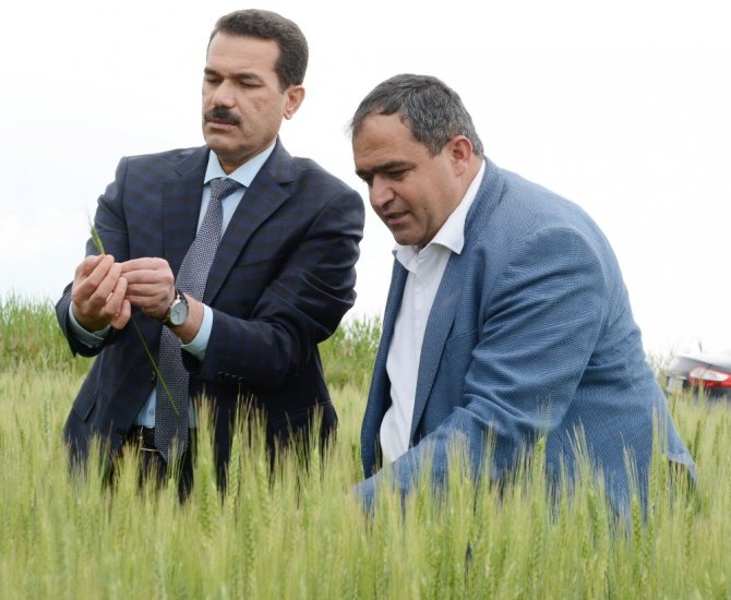 Aksaray’da ekili tarım arazileri denetim altında