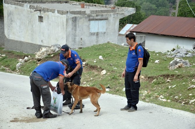 Yaşlı adam sahurda kayboldu