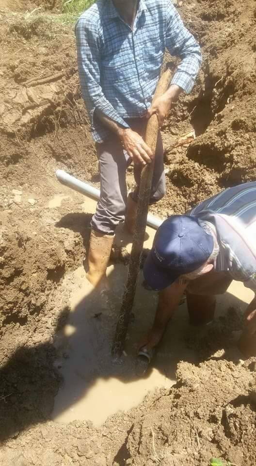 İçme suyu borusunun içinden 13 metre söğüt ağacı kökü çıktı