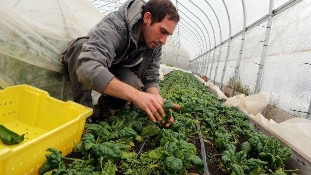 Erzincan’da 189 genç çiftçiye hibe desteği verildi