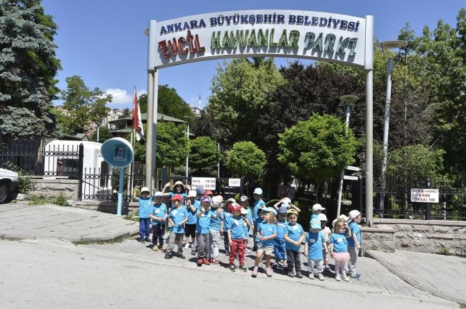 Keçiören Evcil Hayvanlar Parkı ziyaretçilerini bekliyor